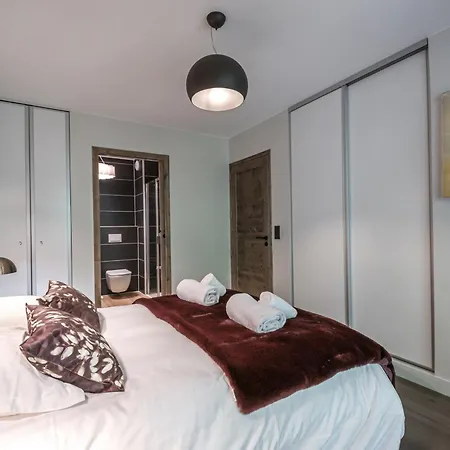 Apartamento Moderne Avec Sauna, Balcon Et Parking A - Fr-1-343-246