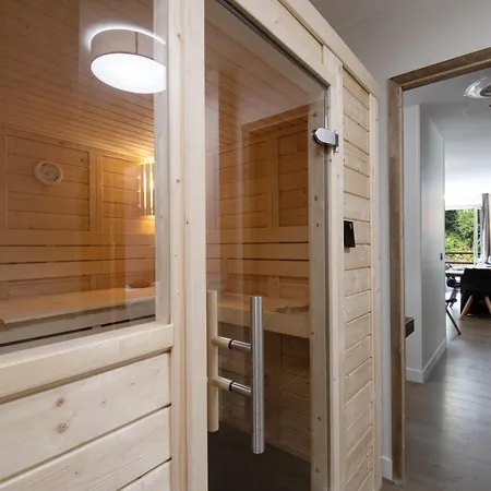 Bel Moderne Avec Sauna Et Parking A - Fr-1-343-246 *