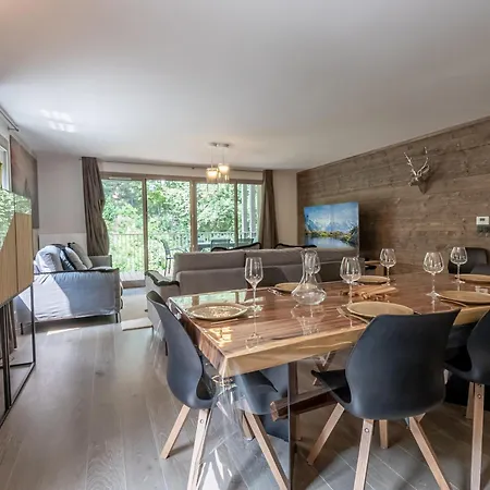 Bel Moderne Avec Sauna Et Parking A - Fr-1-343-246 Appartement Chamonix