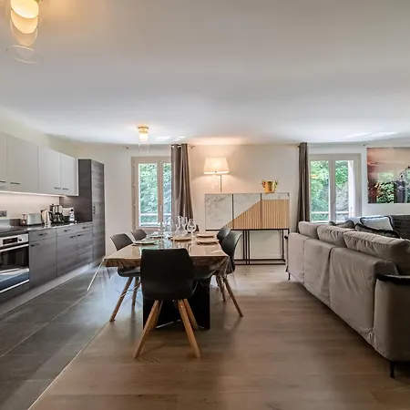 Bel Moderne Avec Sauna Et Parking A - Fr-1-343-246 * Chamonix